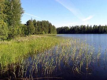 Фото номера Дом для отпуска Дома для отпуска Holiday Home Pikku-villa г. Vähäsalmi 21
